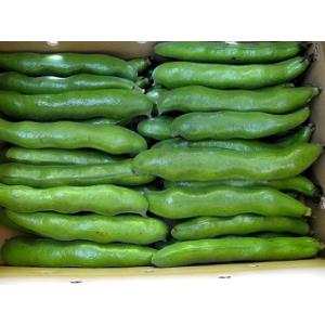そら豆 鹿児島 Lサイズ 3〜4粒 <2kg>...の詳細画像3