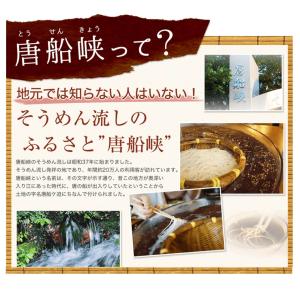 唐船峡めんつゆ バラエティ3本セット <涼味2...の詳細画像4