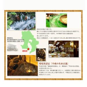 唐船峡めんつゆ バラエティ3本セット <涼味2...の詳細画像5