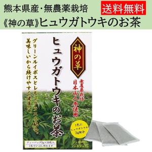 ヒュウガトウキ お茶 サプリ 茶 効能 青汁 180粒 日本山人参茶 無農薬 国産 ノンカフェイン｜ic-shopping