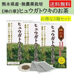 ヒュウガトウキ お茶 ヒュウガトウキ効能 健康茶 国産 日本山人参茶 3箱セット