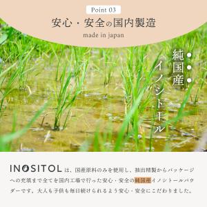 イノシトール パウダー 100g 国産 粉末 ...の詳細画像1