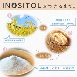 イノシトール パウダー 100g 国産 粉末 ...の詳細画像2