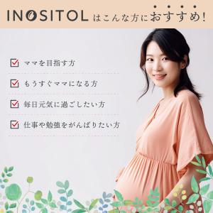 イノシトール パウダー 100g 国産 粉末 ...の詳細画像3