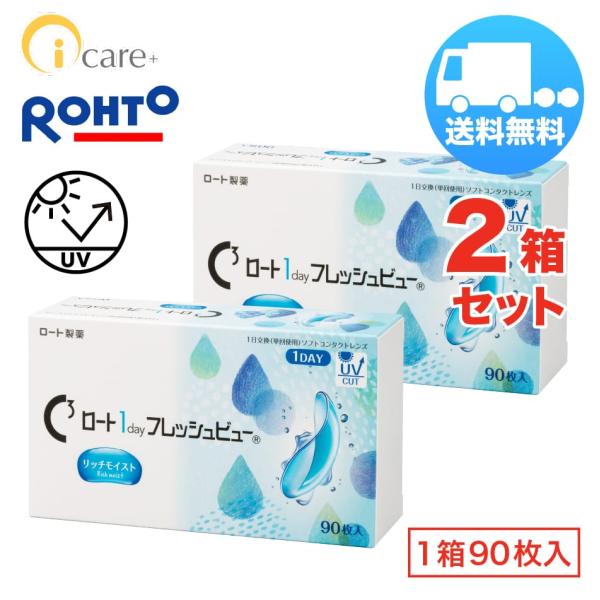 ロート 1day フレッシュビュー リッチモイスト×2箱セット（1箱90枚入り） ROHTO 1日使...