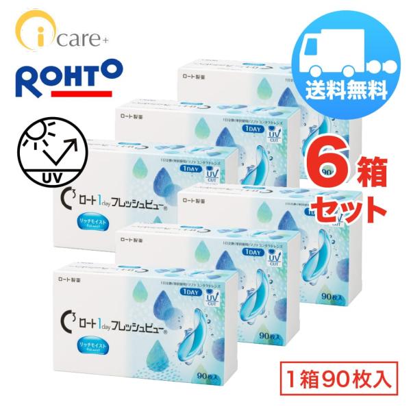 ロート 1day フレッシュビュー リッチモイスト×6箱セット（1箱90枚入り） ROHTO 1日使...