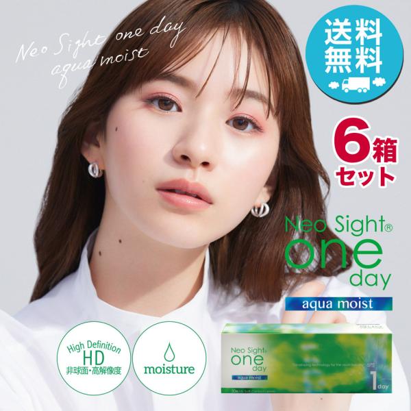 ネオサイトワンデー アクアモイスト×6箱セット（1箱30枚入り） アイレ 1日使い捨て ソフトコンタ...