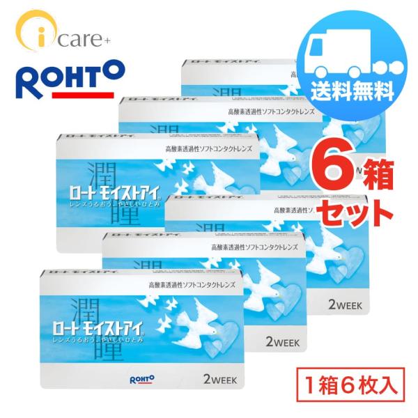 ロート モイストアイ×6箱セット（1箱6枚入り） ROHTO 2週間使い捨て ソフトコンタクトレンズ...