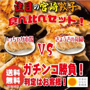 注目の宮崎餃子　ガチンコ食べ比べセット　送料無料