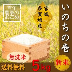 いのちの壱　5kg  令和5年産　無洗米 宮城県産  直送 送料無料 いのちのいち 【発送元Ｈ】