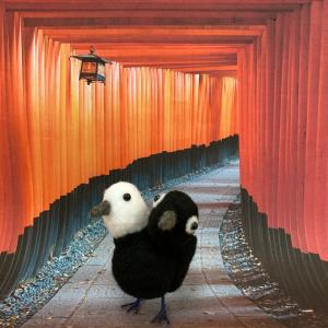 ヨゲンノトリ 羊毛フェルトマスコット 疫病退散　k00478