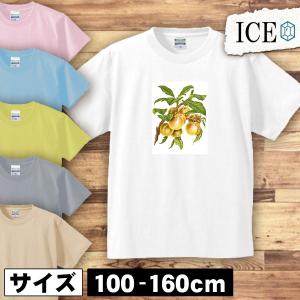 もも キッズ 半袖 Tシャツ すもも 桃 ピーチ フルーツ 果物 アンティーク レトロ 男の子 女の子 ボーイズ ガールズ プリント 綿 おもしろ