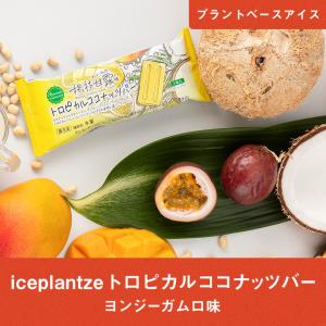 iceplantze トロピカルココナッツバー（ヨンジーガムロ味）｜ice-ouan