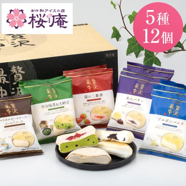 贈答品 贅沢最中セットC 2025（モナカアイス5種・12個入り・化粧箱入り）父の日 母の日 誕生日...