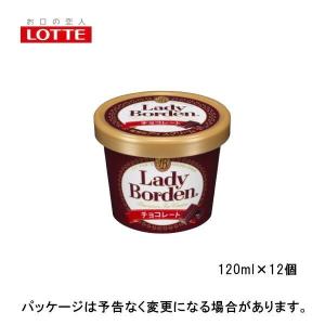ロッテ レディーボーデン LB ミニカップ チョコレート120ml×12入 北海道沖縄離島は配送料追加