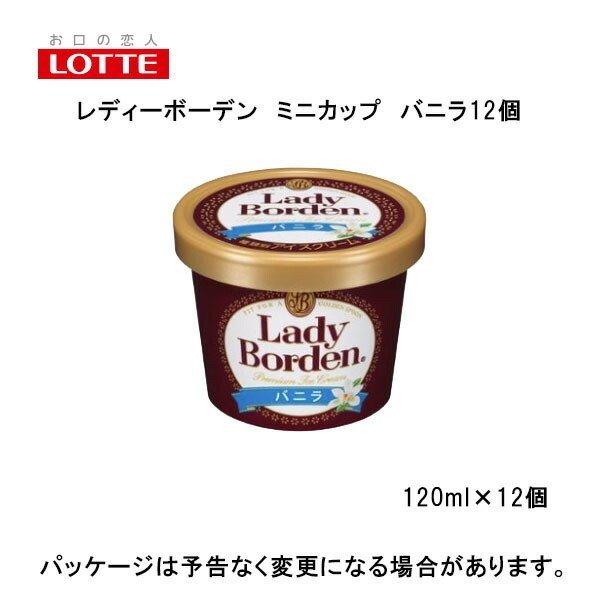 ギフト対応 ロッテ レディーボーデン ミニカップ バニラ120ml×12入 北海道沖縄離島は配送料追...