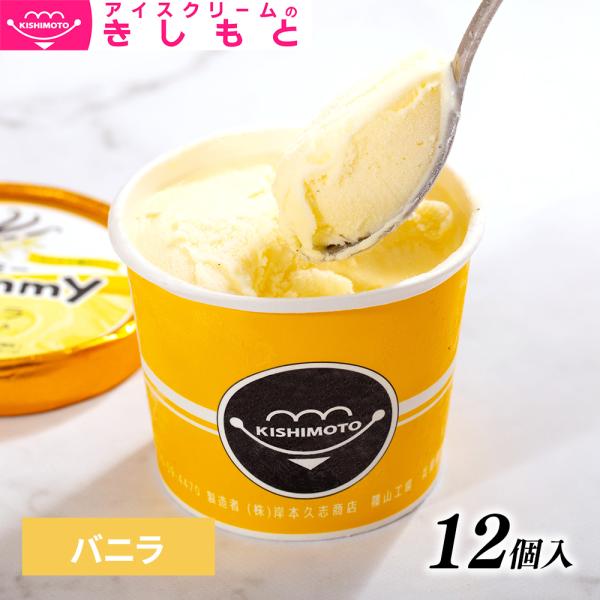 お歳暮 冬ギフト スイーツ アイス ギフト対応 アイスクリームのきしもと ミニカップ Yummy ヤ...