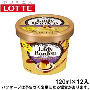 アイス 対応 ロッテ ミニカップ レディーボーデン ほろにがカラメルリッチプリン