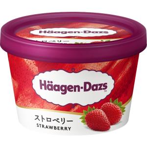 お中元 残暑見舞い アイス ギフト対応 ハーゲ...の詳細画像2