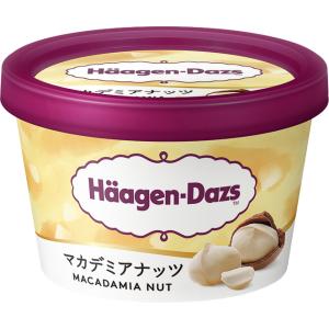 お中元 残暑見舞い アイス ギフト対応 ハーゲ...の詳細画像5