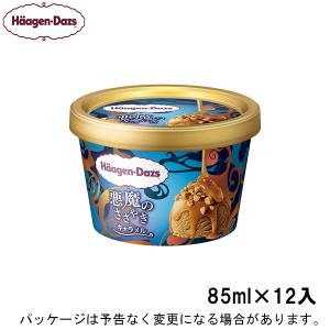 ハーゲンダッツ ミニカップ キャラメル 85ml×12個 期間限定 のし同梱可/別売  北海道沖縄離島は配送料追加