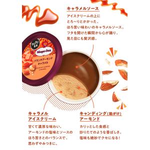 母の日 春ギフト スイーツ アイス ギフト対応...の詳細画像4