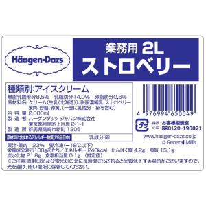 正規代理店 ハーゲンダッツ 業務用 ストロベリ...の詳細画像1
