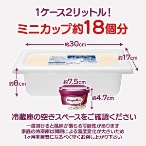 正規代理店 ハーゲンダッツ 業務用 ストロベリ...の詳細画像2