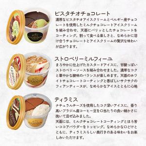 お中元 2026 アイス ギフト対応 ゴディバ...の詳細画像3