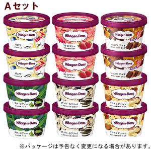 ギフト対応 ハーゲンダッツ ミニカップ12個入 Aセット 人気のバラエティ6種×各2個 北海道沖縄離...