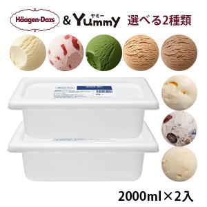 ハーゲンダッツ 業務用 選べる4個セット 2000ml×4入 : アイスクリーム