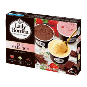 ロッテ レディーボーデンLB  マルチ カップセレクション 75ml×6個×10入 北海道沖縄離島は配送料追加