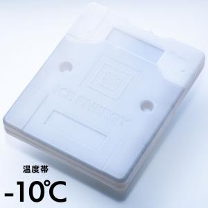 保冷剤 長時間  アイスエナジー ハードケース 1kg＜-10℃＞1個  レジャー アウトドア BBQ キャンプ 日本製｜iceenergy