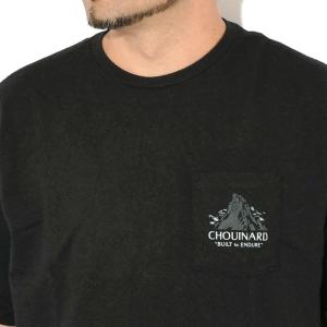 パタゴニア Tシャツ 半袖 Patagonia...の詳細画像3