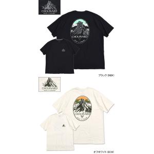 パタゴニア Tシャツ 半袖 Patagonia...の詳細画像4