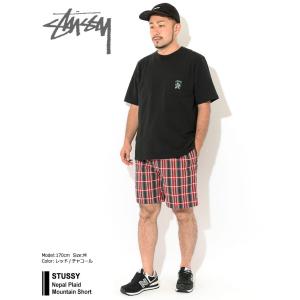 ステューシー ハーフパンツ STUSSY メン...の詳細画像1