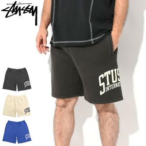 STUSSY（ステューシー） パンツ BRUSHED BEACH SHORT ショーツ メンズ