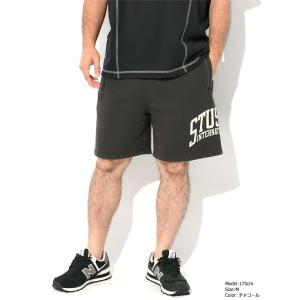 ステューシー ハーフパンツ STUSSY メン...の詳細画像2