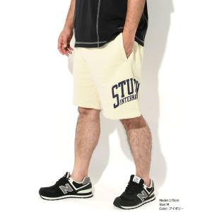 ステューシー ハーフパンツ STUSSY メン...の詳細画像5