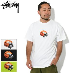 ステューシー Tシャツ 半袖 STUSSY メンズ Ladybug ( stussy tee T-SHIRTS カットソー トップス 1904899 USAモデル 正規 )[M便 1/1]｜icefield