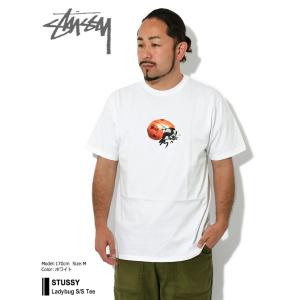 ステューシー Tシャツ 半袖 STUSSY メ...の詳細画像1