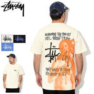 ステューシー Tシャツ 半袖 STUSSY メンズ IST Venus Pigment Dyed ( stussy tee ピグメント カットソー 1904977 USAモデル 正規 )[M便 1/1]｜icefield