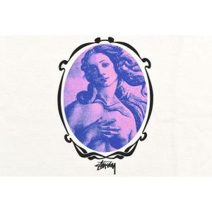 ステューシー Tシャツ 半袖 STUSSY メ...の詳細画像5