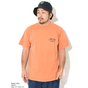 ステューシー Tシャツ 半袖 STUSSY メ...の詳細画像3