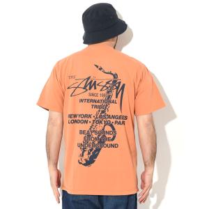 ステューシー Tシャツ 半袖 STUSSY メ...の詳細画像4