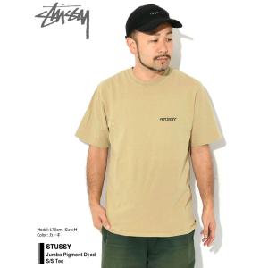 ステューシー Tシャツ 半袖 STUSSY メ...の詳細画像1