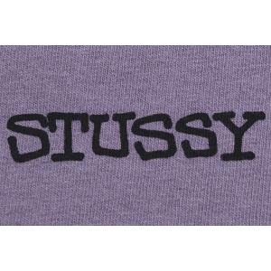ステューシー Tシャツ 半袖 STUSSY メ...の詳細画像4