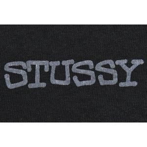 ステューシー Tシャツ 半袖 STUSSY メ...の詳細画像5