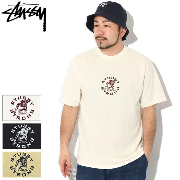 ステューシー Tシャツ 半袖 STUSSY メンズ Strong Mac Pigment Dyed ...