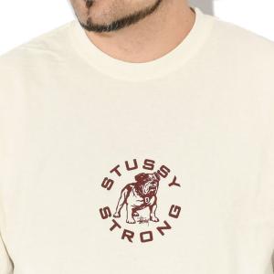 ステューシー Tシャツ 半袖 STUSSY メ...の詳細画像2